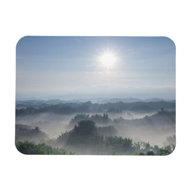 Bright Sunlight in the Bamboo Träd | Taiwan Magnet (Horisontell)