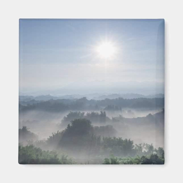 Bright Sunlight in the Bamboo Träd | Taiwan Magnet (Framsidan)