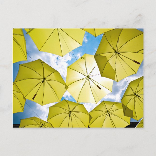 Bright Sunny Gult Umbrellas Vykort (Framsida)