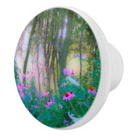 Bright Sunrise with Rosa Coneflowers in My Garden Knopp