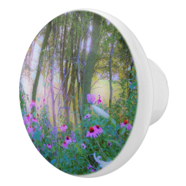 Bright Sunrise with Rosa Coneflowers in My Garden Knopp (Höger)