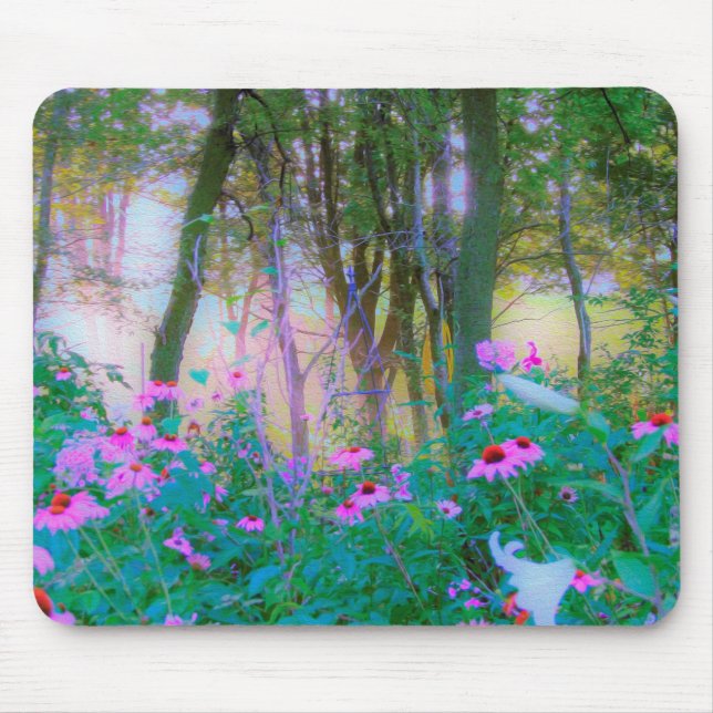 Bright Sunrise with Rosa Coneflowers in My Garden Musmatta (Framsidan)