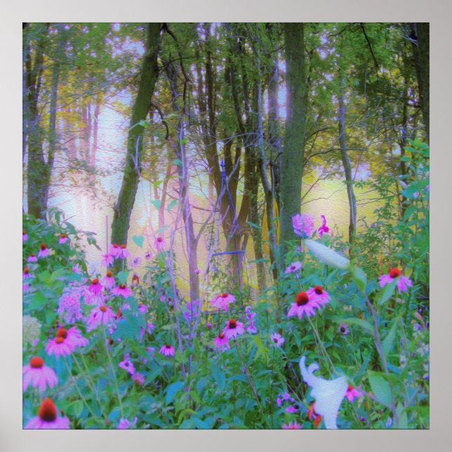 Bright Sunrise with Rosa Coneflowers in My Garden Poster (Framsidan)