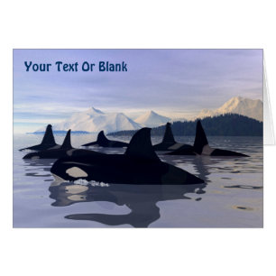 Bright Vatten Orca Hälsningskort