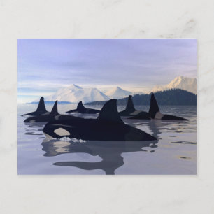 Bright Vatten Orca Vykort