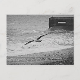 Brighton Vykort