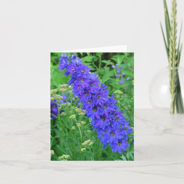 BRILJANT BLÅTTRIDDARSPORRE NOTECARD KORT (Framsida)