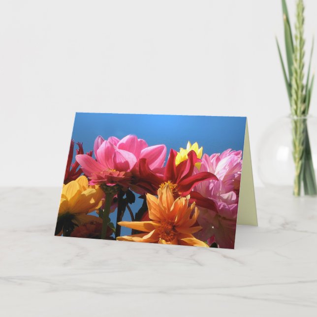 Briljant Dahliasmors dag Kort (Framsida)