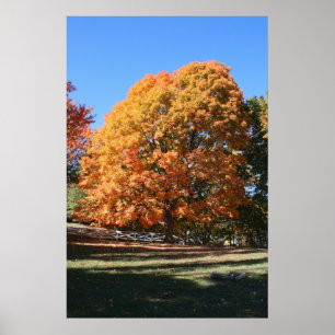 Briljant hösträd – Hubbell, Michigan Poster