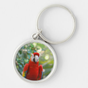 Briljant röd papegoja Keychain Rund Silverfärgad Nyckelring