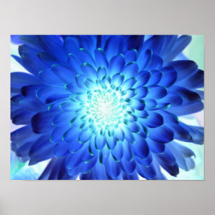 Briljantblått blommakro. Negativ för gult Poster