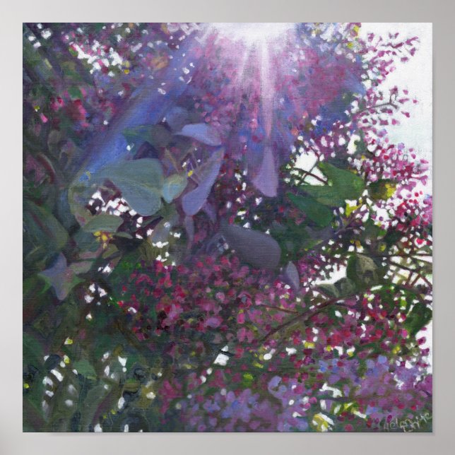 Brilliance 2014 poster (Framsidan)