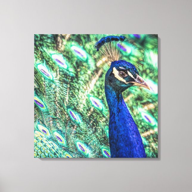 Brilliance in Blue&Grönt Peacock Kanvastryck (Framsida)