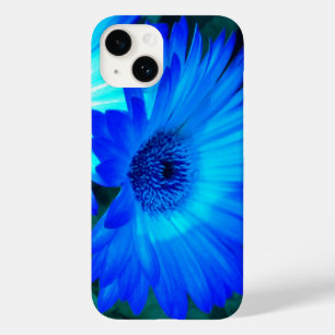 Brilliant Blue-Daisy