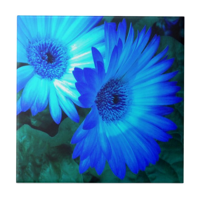 Brilliant Blue Daisys Tile Trivet Kakelplatta (Framsidan)
