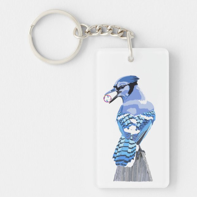 Brilliant Blue Jay (Framsidan)