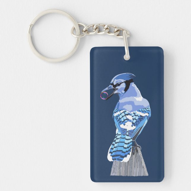Brilliant Blue Jay (Framsidan)