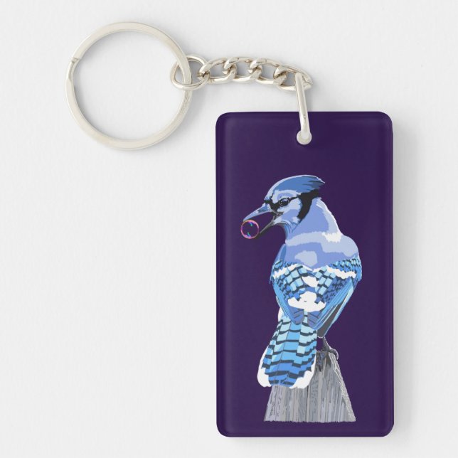 Brilliant Blue Jay (Framsidan)