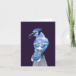 Brilliant Blue Jay Kort