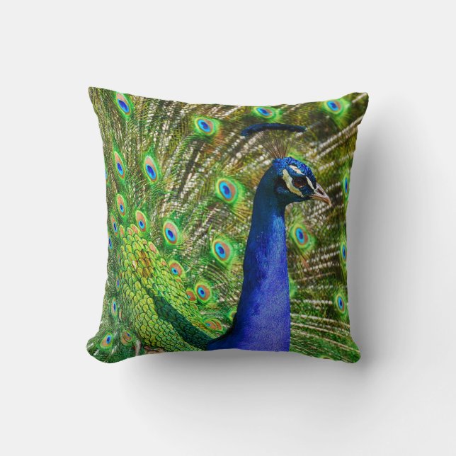Brilliant Blue Peacock Kudde (Framsida)