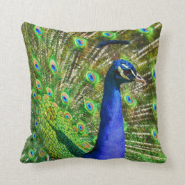 Brilliant Blue Peacock Kudde