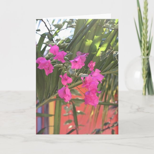 Brilliant Bougainvillea Kort (Framsida)