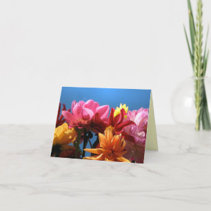 Brilliant Dahlias Tack Kort