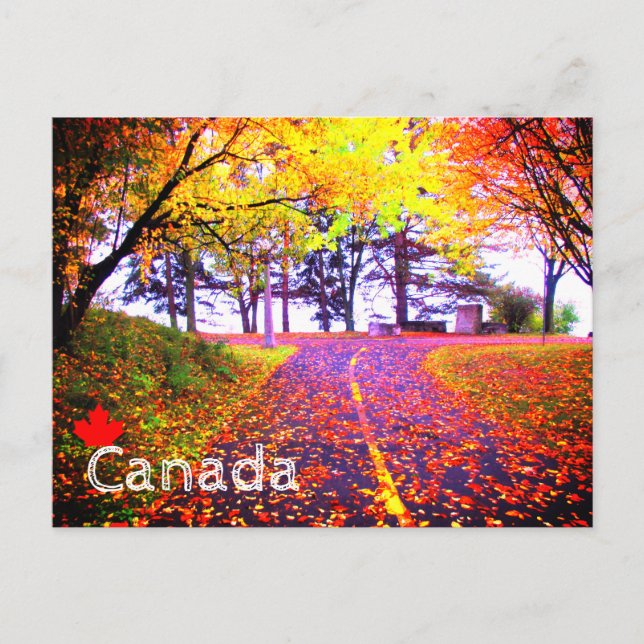 Brilliant Färg Autumn Bike Väg Canada Souvenir Vykort (Framsida)