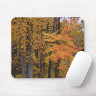 Brilliant Färgad Fall Träd och Löv Mousepad Musmatta