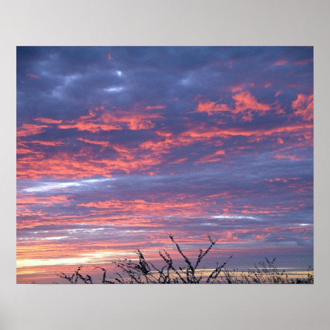 Brilliant Hawaiian Rosa och Lavender Sunset Himlar Poster (Framsidan)