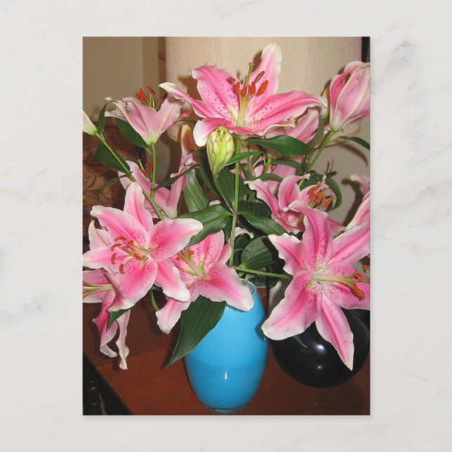 Brilliant Lilies-vykort Vykort (Framsida)