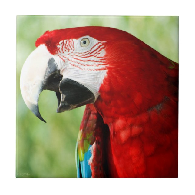 Brilliant Red Kakelplatta (Framsidan)