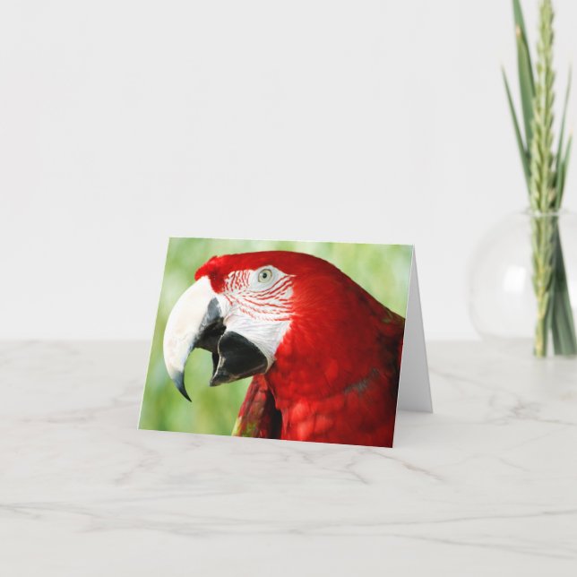 Brilliant Red Kort (Framsida)