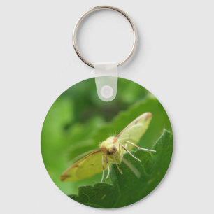 Brimstone Moth Keychain Nyckelring