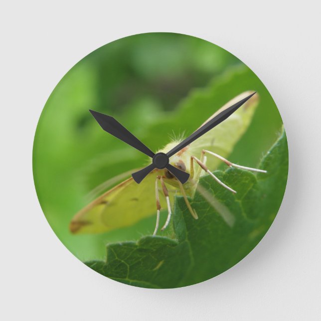 Brimstone Moth Wall Clock Rund Klocka (Framsida)