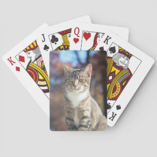 Brin Casinokort