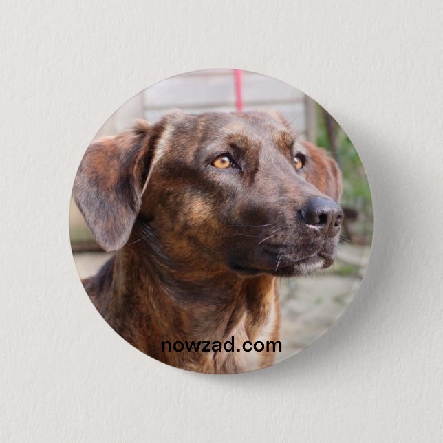Brin för Nowzad räddinghund emblem Knapp (Framsida)