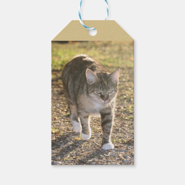 Brin Presentetikett (Framsidan)