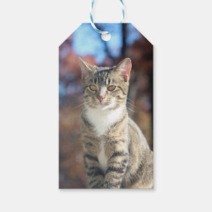 Brin Presentetikett