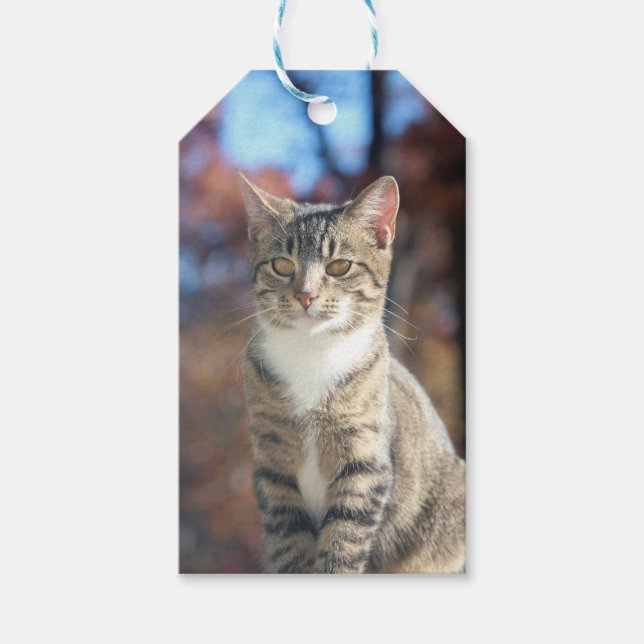 Brin Presentetikett (Framsidan)