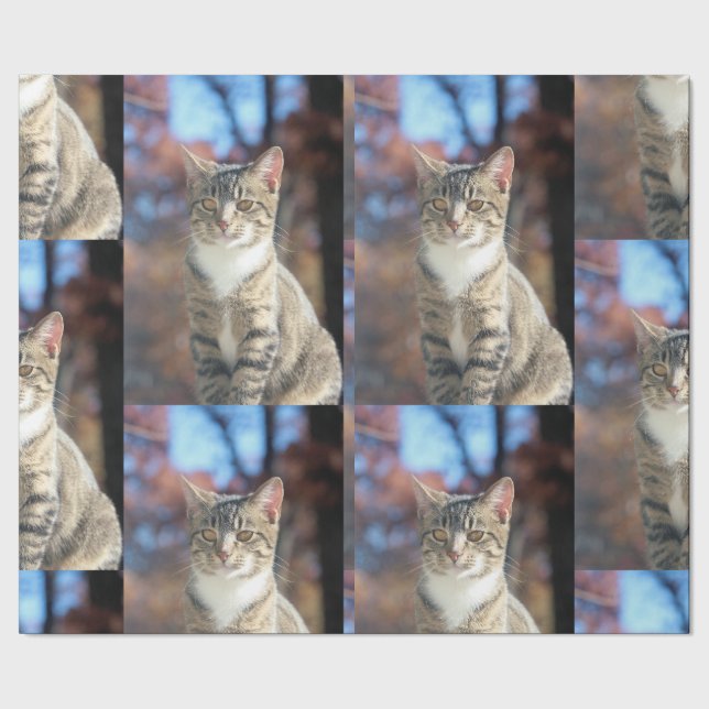 Brin Presentpapper (Seam)