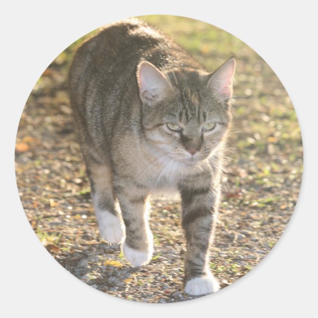 Brin Runt Klistermärke (Framsida)