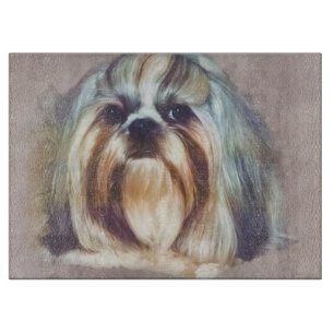 Brindle and White Shih Tzu Hund