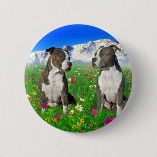 Brindle & blått Staffordshire & groptjurhundar Knapp