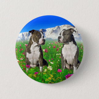 Brindle & blått Staffordshire & groptjurhundar Knapp
