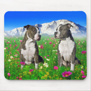 Brindle & blått Staffordshire & groptjurhundar Musmatta