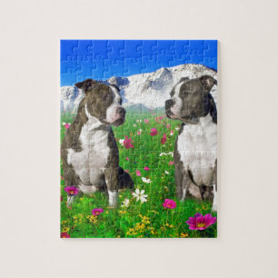 Brindle & blått Staffordshire & groptjurhundar Pussel