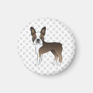 Brindle Boston Terrier Söt Tecknad Hund & Tassar Magnet