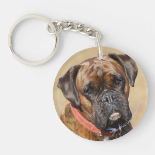 Brindle boxarehund