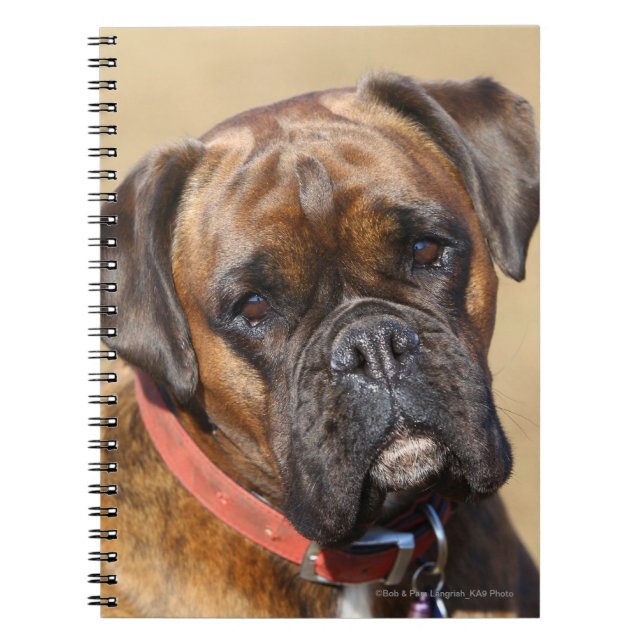 Brindle boxarehund anteckningsbok (Framsidan)